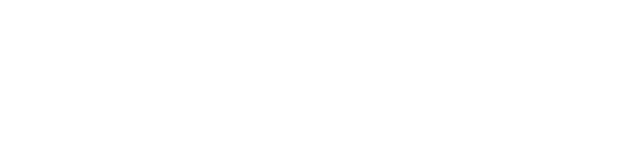 The Hollyday Group